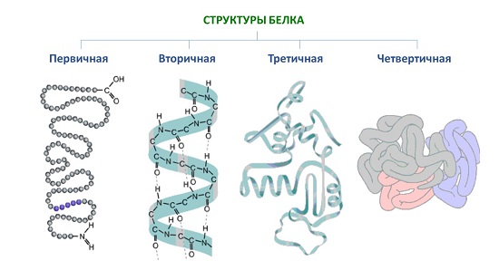 Глотать сперму полезно?